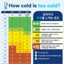 멍냥사랑방 이미지