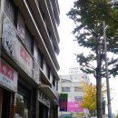 금생약국 이미지