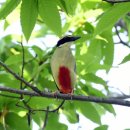 제주 물장오리오름 이미지