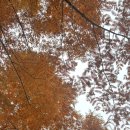 늘솔길공원입구 | 🍂 늘솔길공원 양떼목장 단풍 나들이 &amp; 감성 카페 마크로스터스 ☕ / 애견동반 코스추천