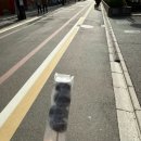 송청먹거리타운 무궁화 | #12 일본 유학생 / 연말은 가족과 함께