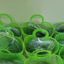 순성어린이집 이미지