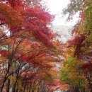 아름다운 필례약수터​ 단풍