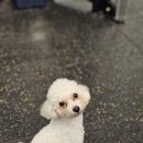 스파르타짐 지족점 이미지