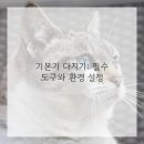 디지털드로잉 이미지