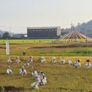 허수아비 이미지