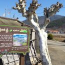 동림경로당 이미지