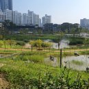 함박산중앙공원 주변 이미지