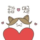24시셀프빨래방내서 이미지