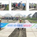 도촌 2농장 이미지