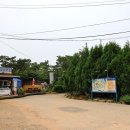 푸른섬 이미지