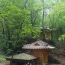 방아다리 이미지