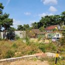 무창포공인중개사사무소 이미지