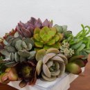 인지재활 토탈공예 이미지