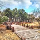 양양군 오산리선사유적박물관 이미지