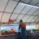 웅이농장 이미지