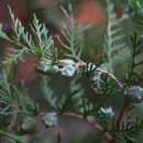 도담도담어린이공원 이미지