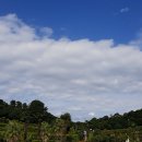 한국폴리텍 VII 대학 부산캠퍼스 이미지