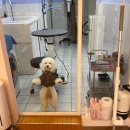 킨더그루밍 이미지