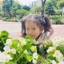 미추홀경찰서어린이집 | 인천 연수구 어린이집 추천 / 교사맘이 추천하는 어린이집, 인천중앙초직장어린이집