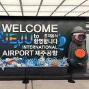1121 | 대한항공 제주 김포공항 KE1121 좌석 기내식 마일리지 탑승 후기