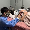 (주)에프앤디넷 포미즈여성병원점 | 포미즈 산부인과 자연분만(르봐이예 분만법), 신생아 설소대 시술 후기