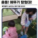강아지탐험대동물미용업 | 대구 파충류 박람회 일정 렙타일페어 이후 렙타일포럼 소식