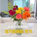 정기꽃배달 추천, 플립플라워 꽃배송으로 싱싱한 꽃다발 받아 본 후기