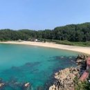 하조대해수욕장 Daum카페