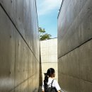 자모스프링여성의원 | 임신사전검사 지원비 총정리, 신청방법부터 알고 건강관리하자