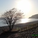 완도 정도리 구계등 이미지