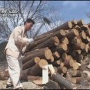 내린천 황토마을펜션 이미지