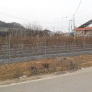 큰길부동산중개사무소 이미지