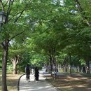 61파크에비뉴(61 PARK AVENUE)