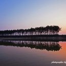 솔섬