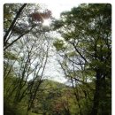 산빛길 이미지