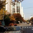 미성아파트 이미지