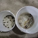 곰마을민박 이미지