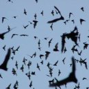 칼즈배드 이미지