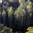 수산리-1 이미지