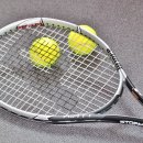 장수공설운동장 테니스장 이미지