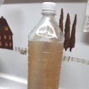지는<동구시장 맛집 미소찌짐>소개합니다(내돈내산후기)🌈연말홈파티,연말모임음식,제사상차림,집들이...