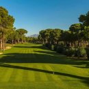 글로리아골프 이미지