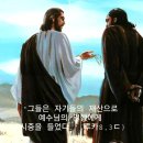 연중 제24주간 금요일(이병우 루카 신부) 이미지