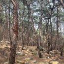 남원 신계리 마애여래좌상 | 남원 신계리 마애여래좌상