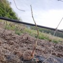 농부의 열매 이미지