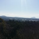 저지오름 이미지