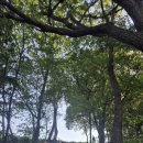 부천시여성청소년재단(산울림청소년센터) 이미지