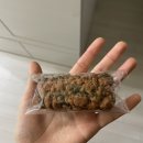 첨담기업3로1L-3 | 미금역 카페 본디커피 미금역 솔직후기