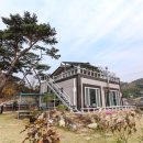 물안뜰민박